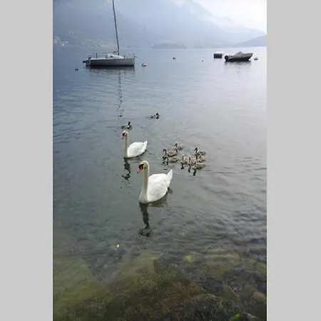 Vista - Betta Lezzeno